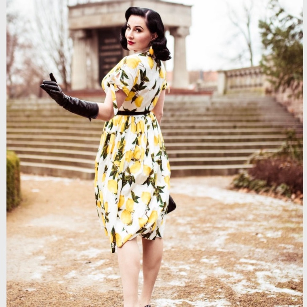 Heats and Found Trudy Lemon Print Shirtdress